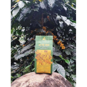 CÀ PHÊ VÀNG RANG XAY BỘT / NGUYÊN HẠT 250GR